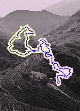 THE HILLS